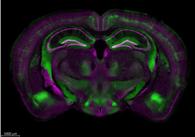 1749518520602305.jpg 360截圖20250610091931147.jpg